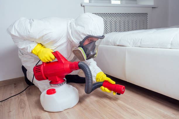 Best Fumigation Services  in Olivet, NJ